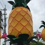 子どもも楽しく親も快適な沖縄の観光施設「ナゴパイナップルパーク」がおすすめ