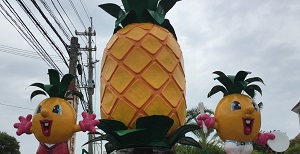 子どもも楽しく親も快適な沖縄の観光施設「ナゴパイナップルパーク」がおすすめ